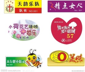 各式各样胸牌