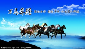 企业文化 团队精神