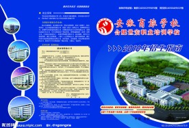 学校招生宣传单