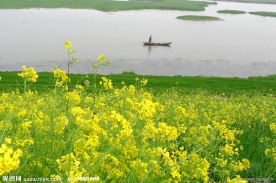 洞庭湖