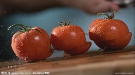 食物饮料