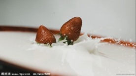 食物饮料