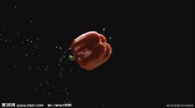 食物饮料