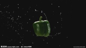 食物饮料