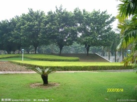 大学校园