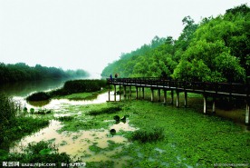 垂钓的风景