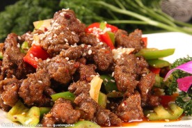 蒙古小炒皇