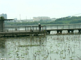 武汉琴台公园