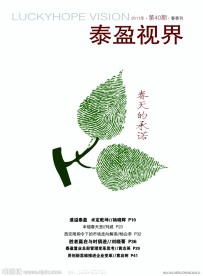 泰盈杂志封面设计