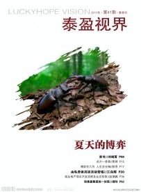 泰盈夏季刊 杂志封面设计