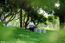 优美的学习环境