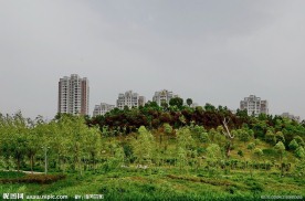 湍东公园