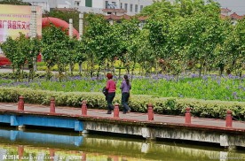 湍东公园