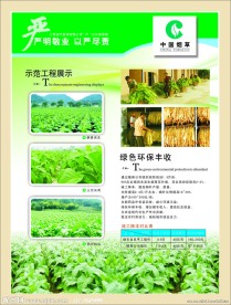 烟草展板