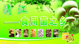 采蘑菇的小姑娘