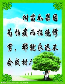 名人名言展板