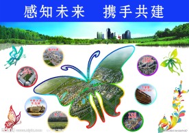 滨海新发展