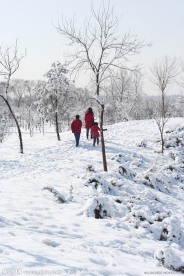 初雪