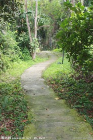一条小路