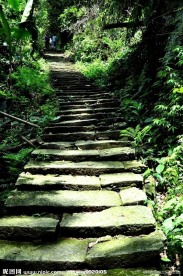 芒荡山山间小路