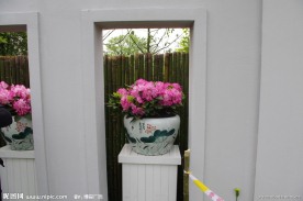 杭州西溪杜鹃