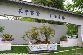 杭州西溪杜鹃