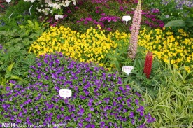 杭州西溪花朝节