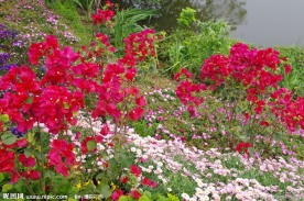 杭州西溪花朝节