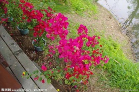 杭州西溪花朝节