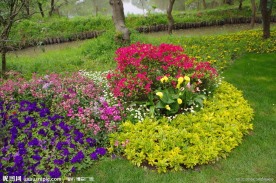 杭州西溪花朝节