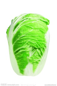白菜