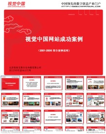 视觉中国_成功案例2007