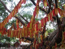 祈福树