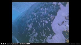 海上冲浪
