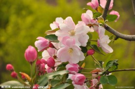 春暖花开