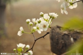 春暖花开