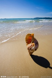 亚龙湾 自然风光