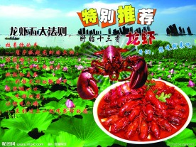 龙虾海报