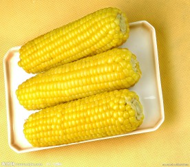 粘玉米 玉米