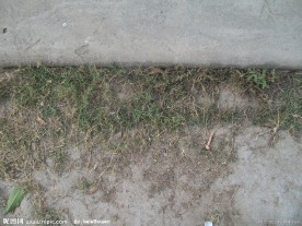 地面墙根摄影素材资料