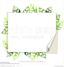 卷页纸张
