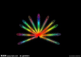 孔雀羽毛