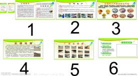 绿色背景展板模板