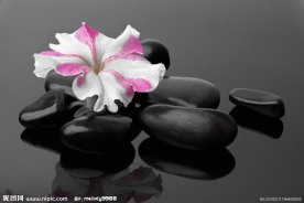 禅意花朵 温泉石