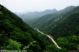 五垛的路