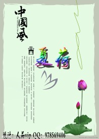 中国风夏日荷花
