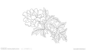 牡丹图图片 矢量图 CDR