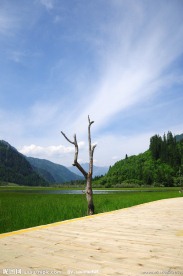 甘海子