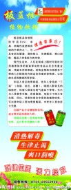 板蓝根植物饮料展架