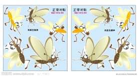 蚊子